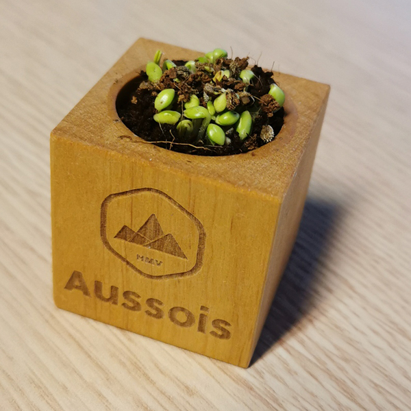 Mini pot avec graines SPL Aussois en Savoie 73
