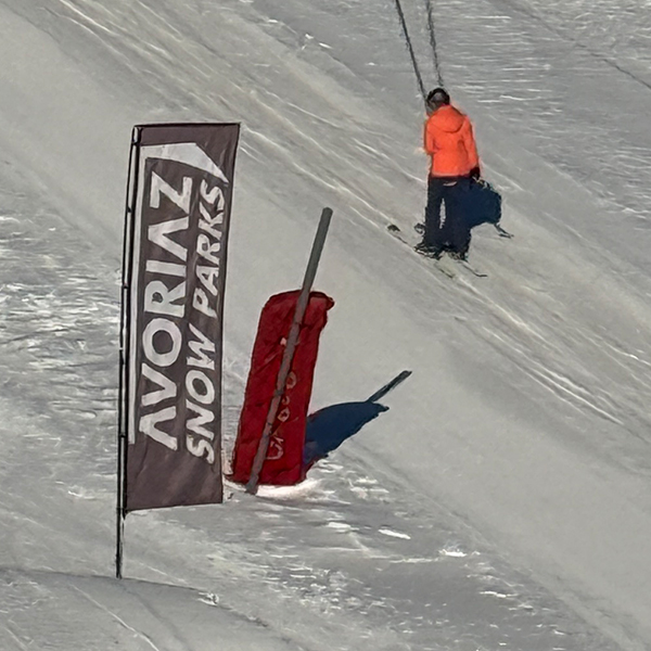 Oriflamme L banner 295cm - Serma 2025